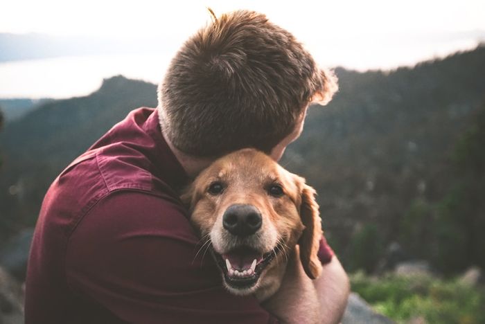 A man hugs a happy golden retriever outdoors against a scenic mountain landscape.