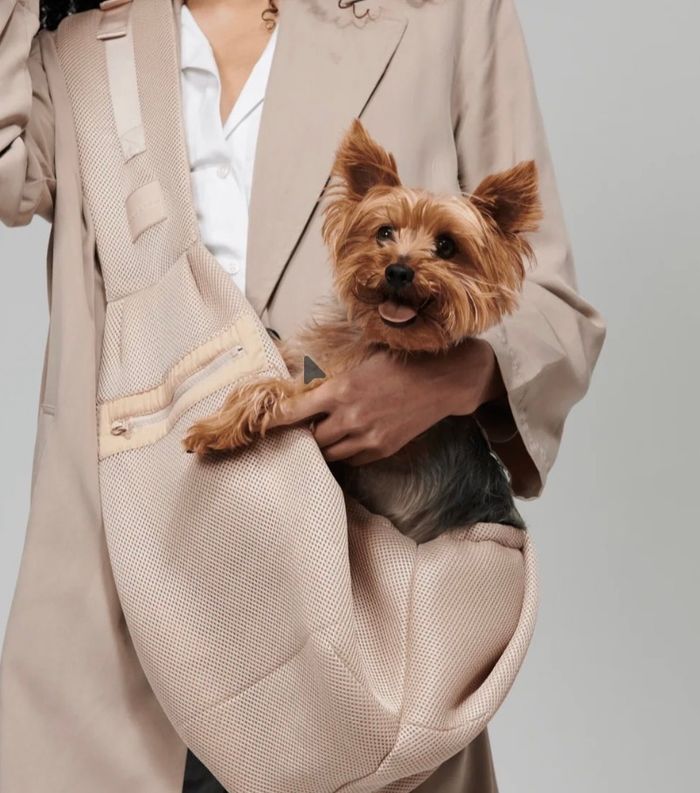 A person carrying a small Yorkshire terrier in a beige crossbody pet sling carrier.