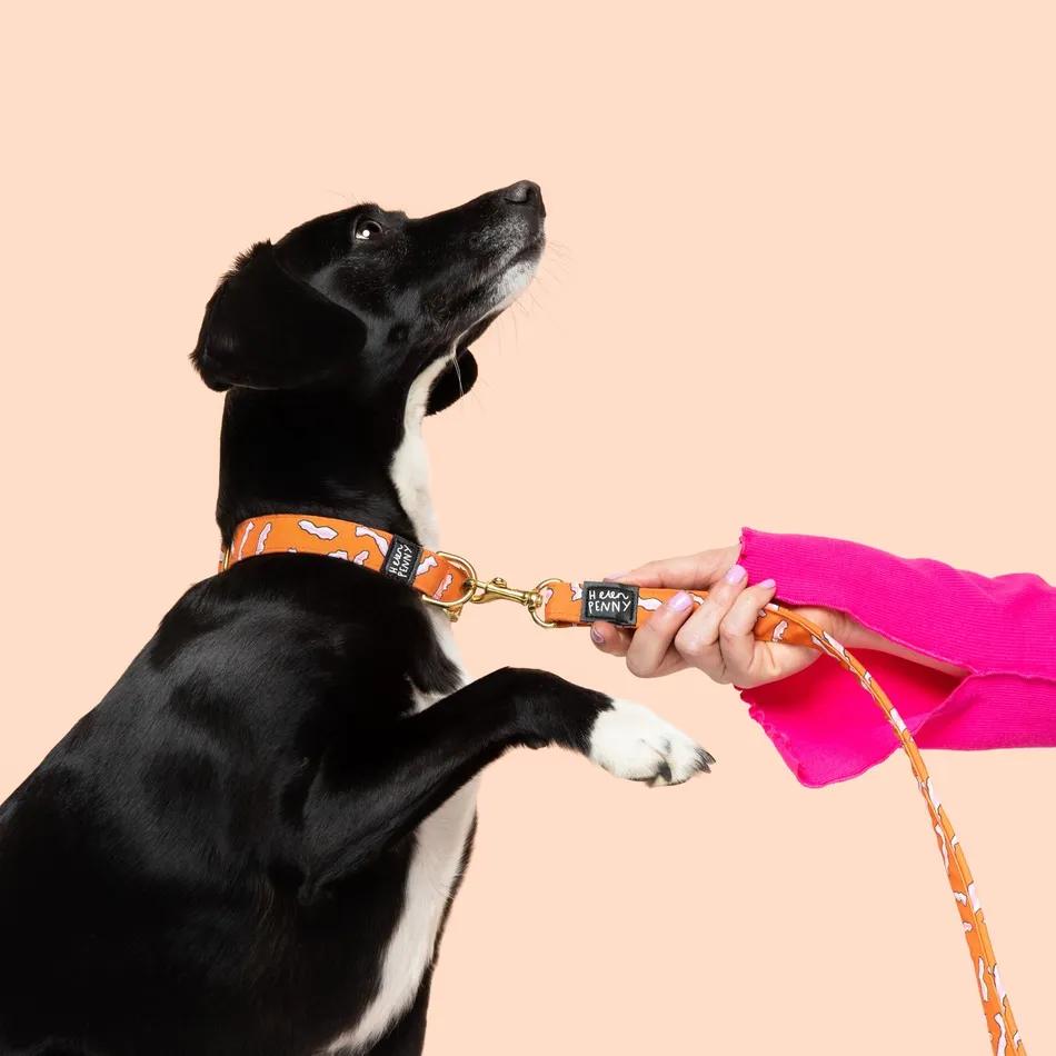 Bacon dog collar by Helen Penny 3