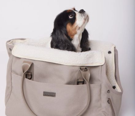 MAXBONE City Carrier Logo-Patch Canvas Pet Carrier