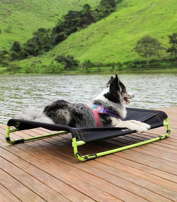 ZEE DOG Air Bed - best elevated dog beds