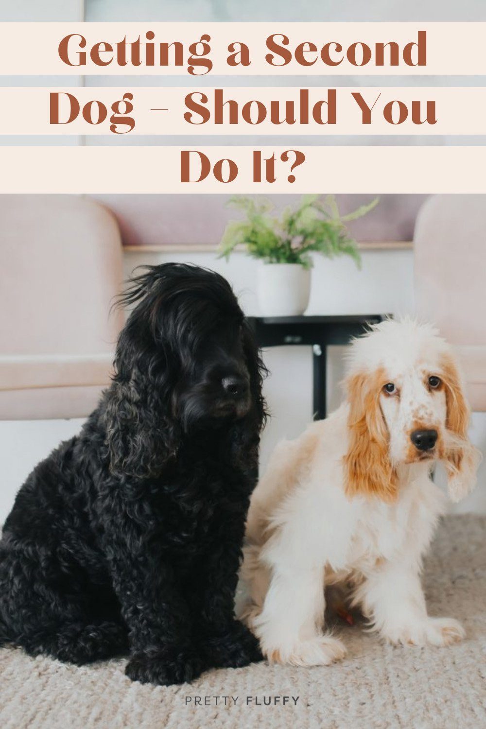 Pinterest graphic on whether you should get a second dog