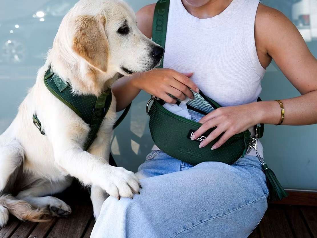 A woman reaches into a green walking bag next to a golden retriever in a matching harness.