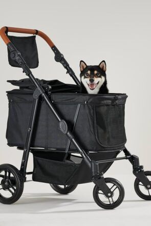 Zoosky dog stroller
