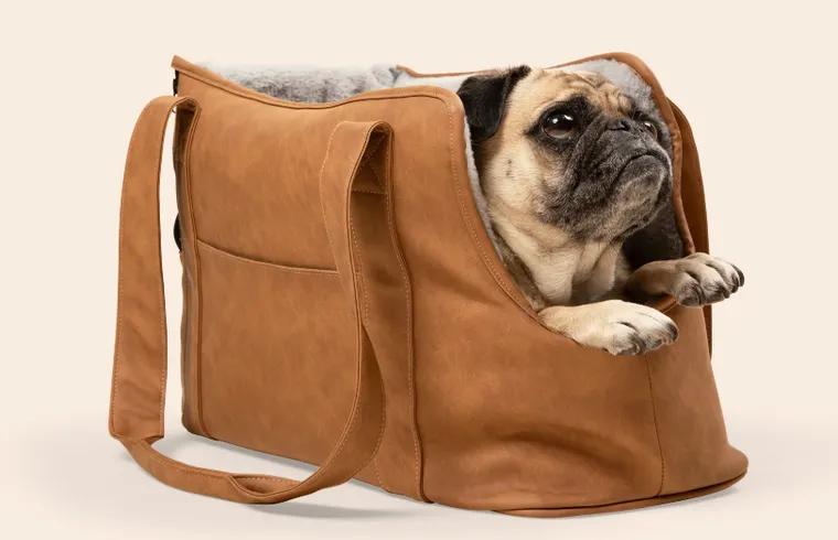 Paw.com