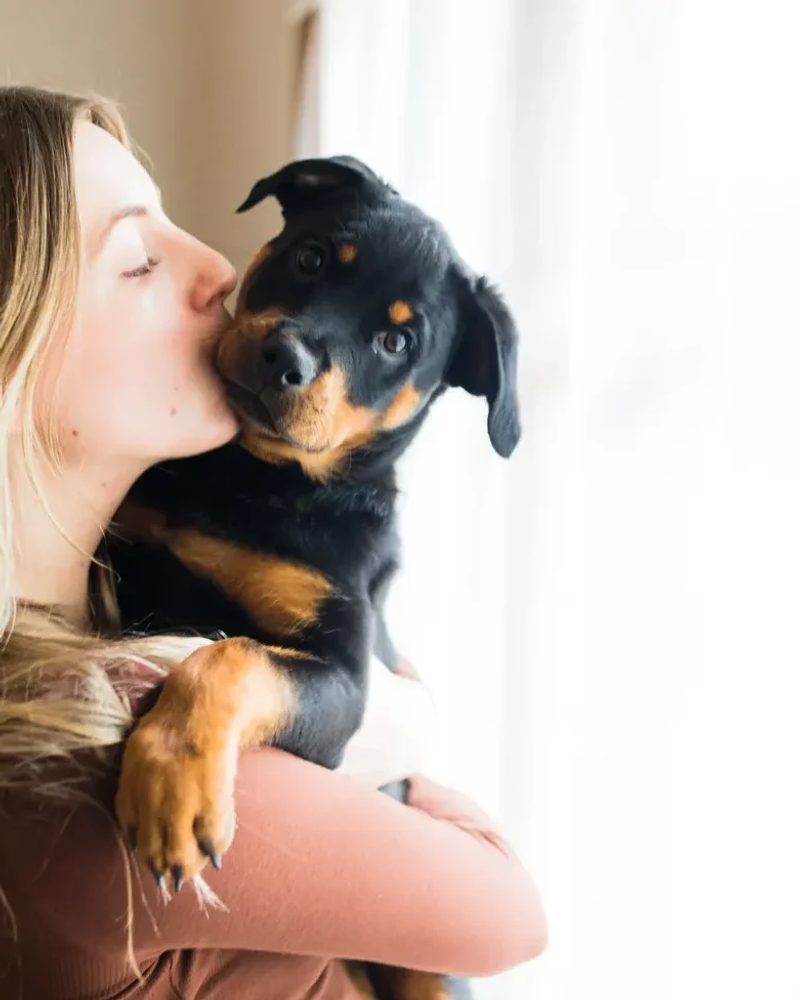 Woman kissing a Rottweiler puppy on the cheek to show how to bond with your puppy through affection.