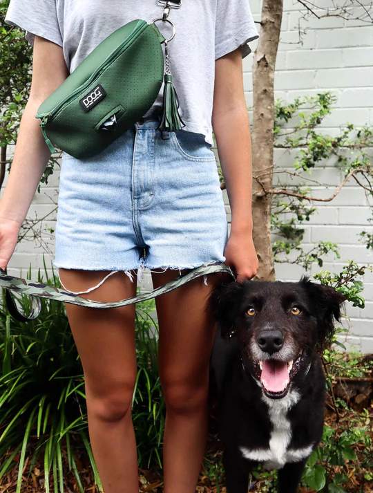 Person in denim shorts walks a smiling black-and-white dog on a leash while wearing a green crossbody bag.