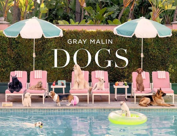 Gray Malin Dogs Coffee Table Book