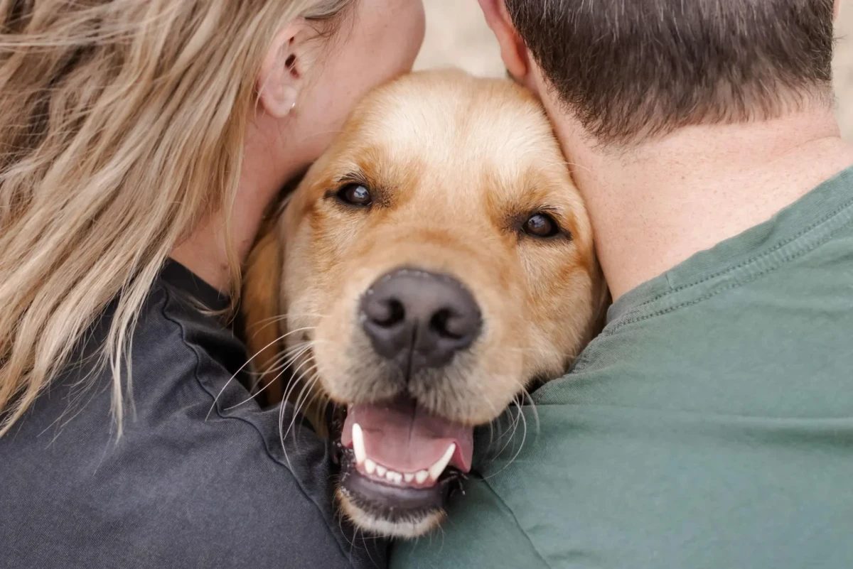 Golden Retriever standing between two owners at an outdoor event