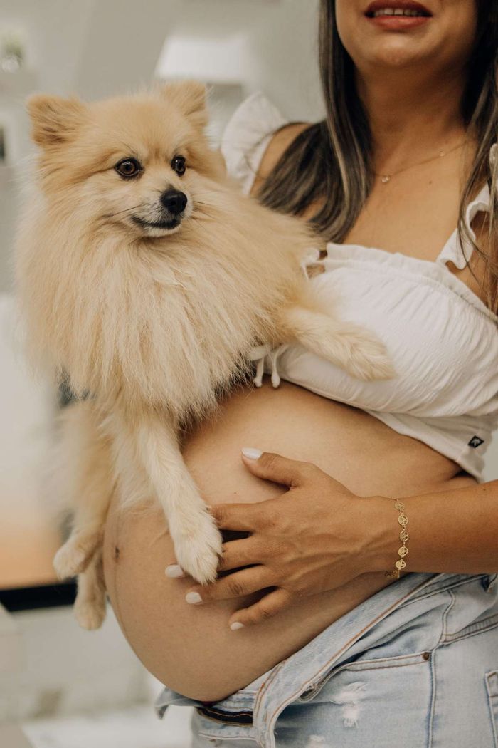 A pregnant woman holding a small fluffy Pomeranian next to her baby bump.