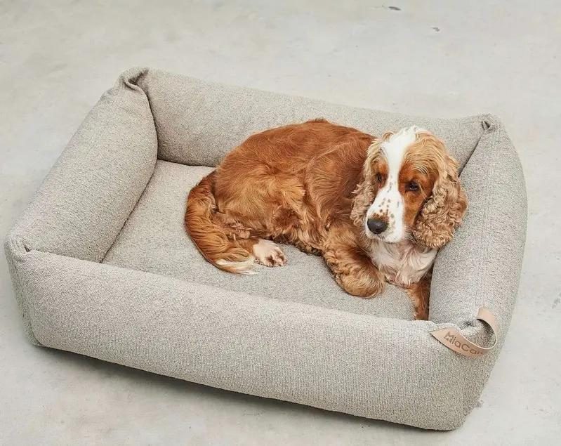 A cocker spaniel rests inside a rectangular beige bolstered dog bed on a concrete floor.