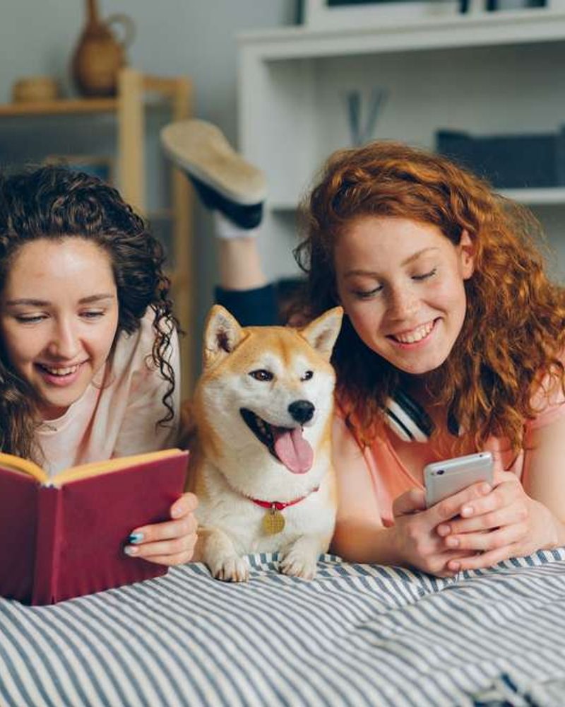 Two students relax on a bed with a Shiba Inu dog, reading a book and looking at a smartphone.