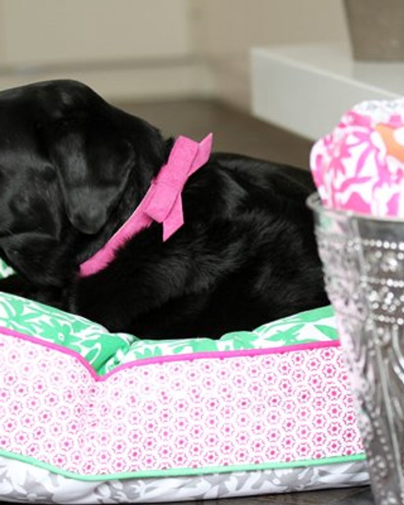 Black puppy with a pink bow collar sleeping in a stylish dog bed, showcasing comfortable pet lifestyle tips.