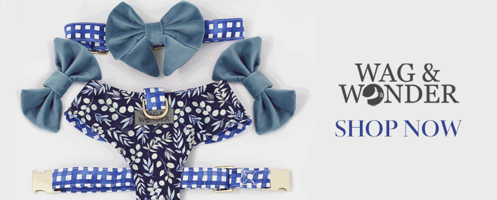 Wag & Wonder blue floral dog harness, gingham collar, and matching velvet bow tie accessories.