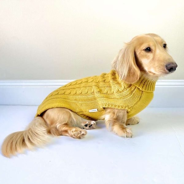 Coco & Pud Dachshund Cable Sweater