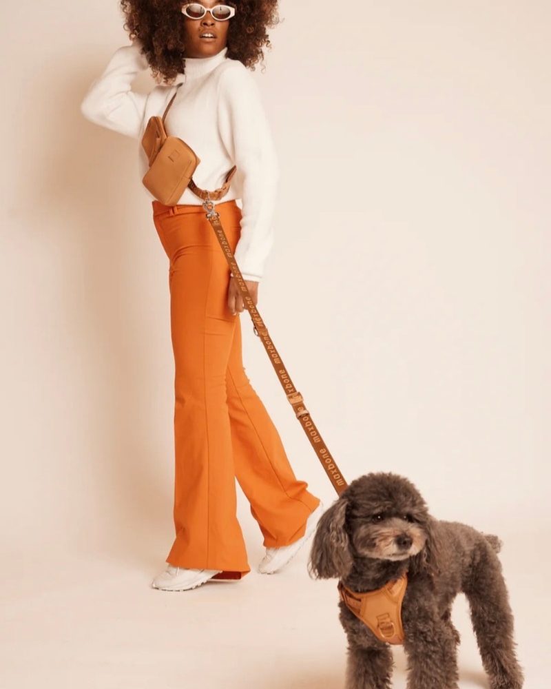 A woman in orange flare pants walking a small grey dog wearing a brown harness and leash.
