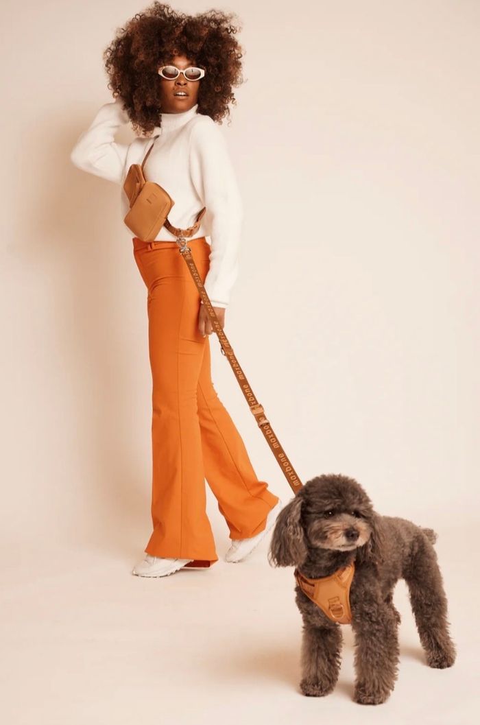 A woman in orange flare pants walking a small grey dog wearing a brown harness and leash.