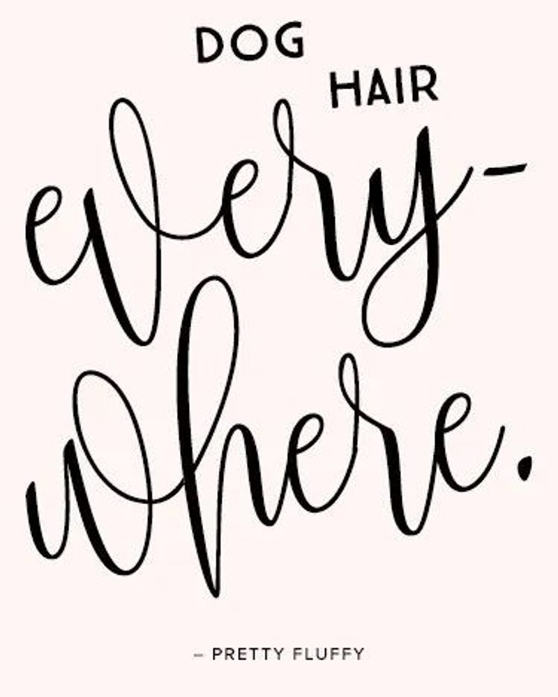 'Dog Hair Everywhere' Free Dog Desktop Wallpaper & Screensaver