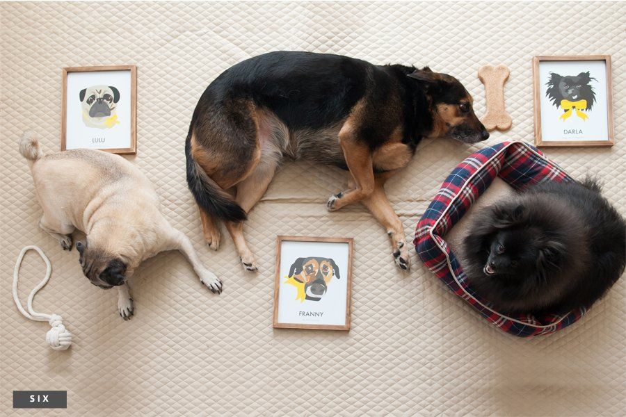 Three dogs lying on a quilted blanket next to their matching framed custom pet portrait illustrations.
