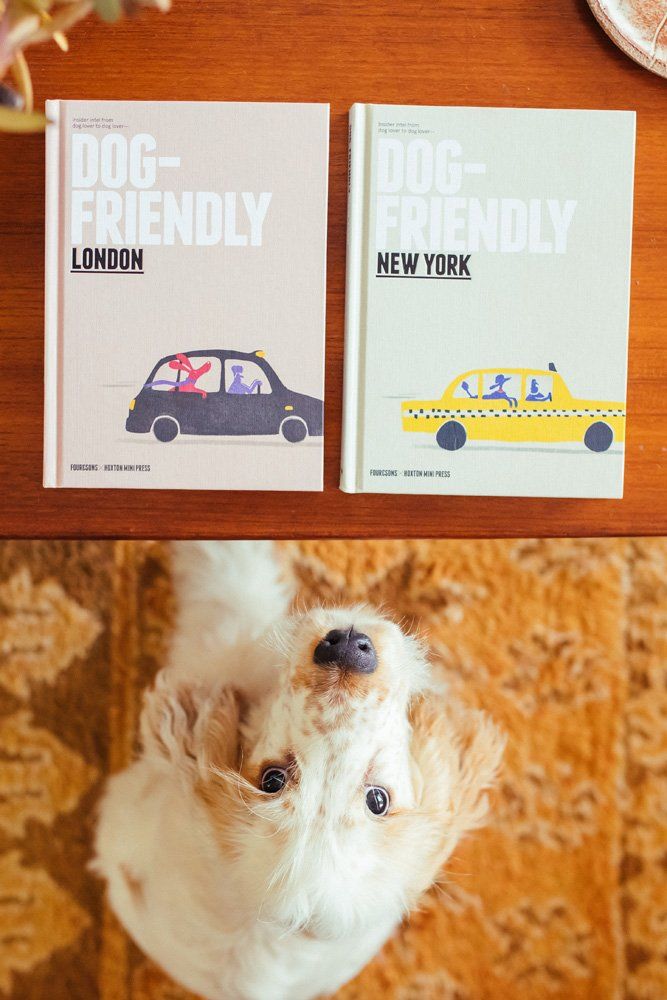 Four & Sons Dog Friendly New York & London | Pet Friendly Travel | Pretty Fluffy-4