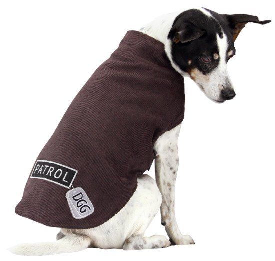 Doggone Gorgeous Winter Collection | Pretty Fluffy