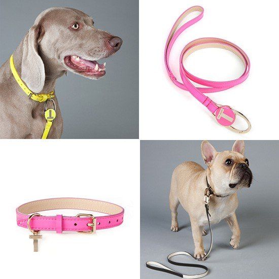 Ted Baker Patent Collars and Leads | Pretty Fluffy