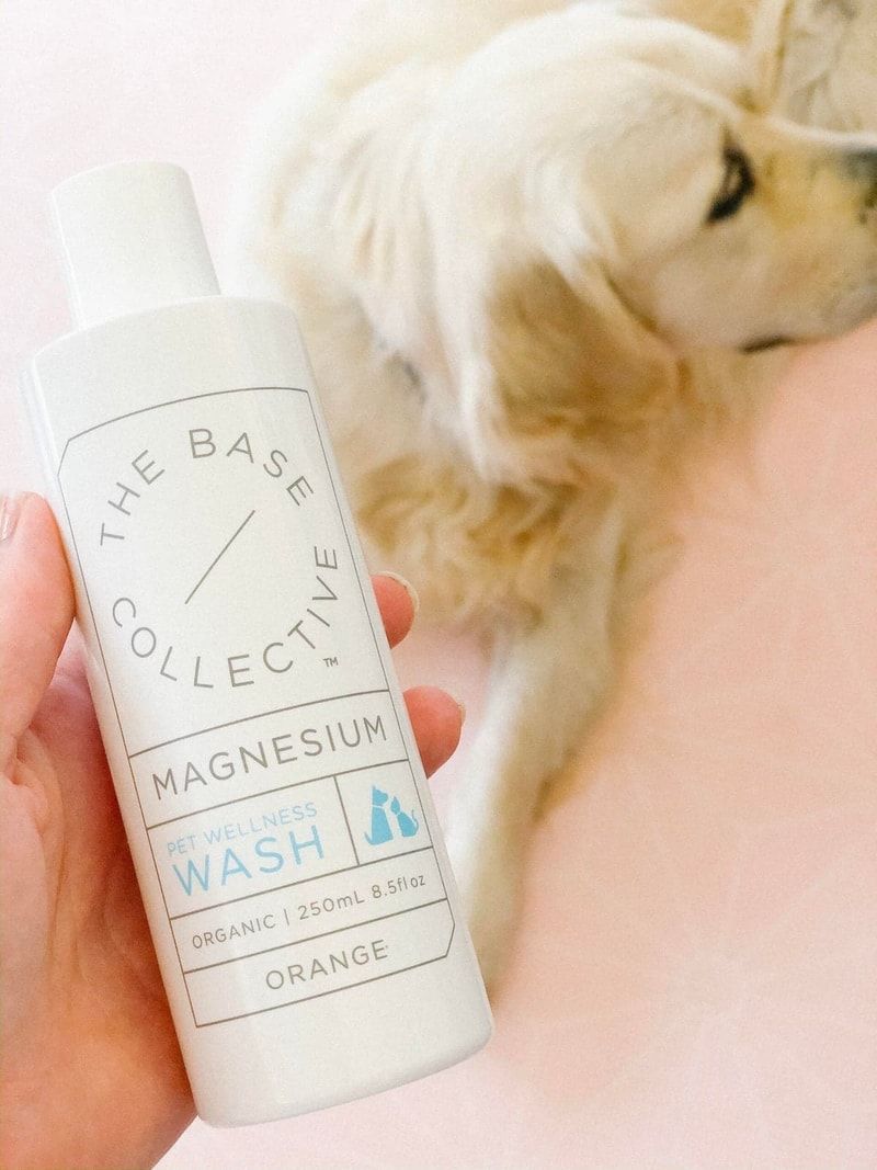 Is magnesium good for dogs? Yes! We list the health benefits of magnesium for dogs - including the best products and how to use them in simple steps.