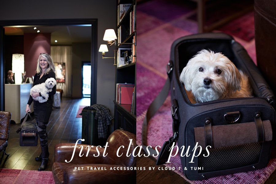 Small white dog inside a TUMI x Cloud 7 pet carrier and woman holding her dog in a luxury hotel lobby.