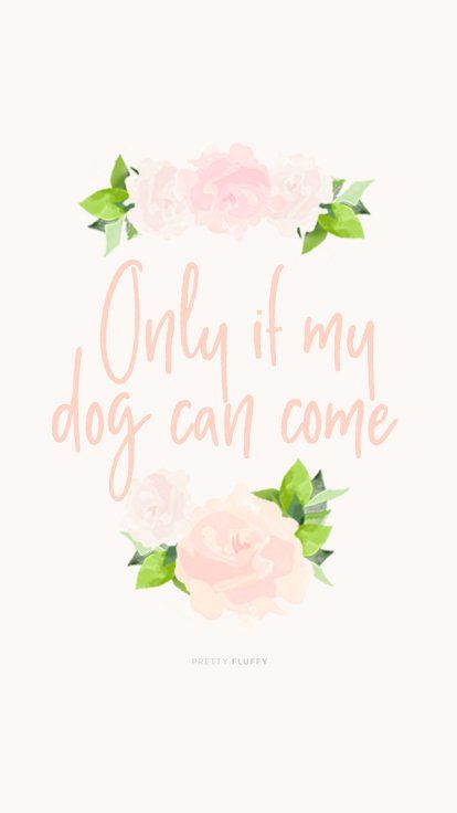 'Only if My Dog Can Come' Dog Lovers Desktop Wallpaper