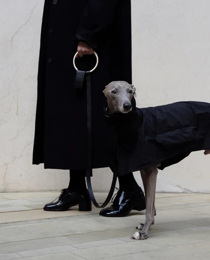 Boo Oh Editor's Picks- 10 Designer Dog Collars, Leashes & Harnesses