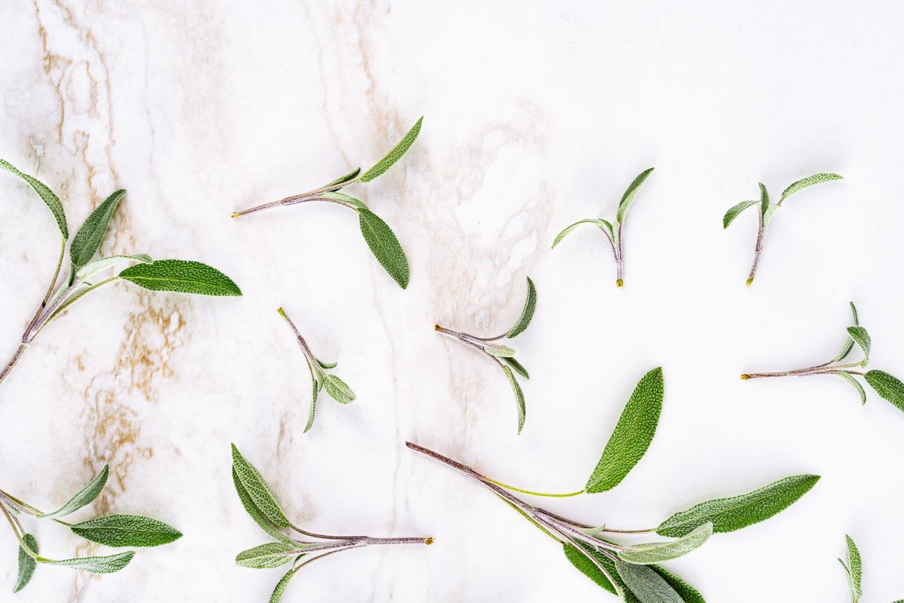 Fresh sage leaves and sprigs scattered on a white marble surface.