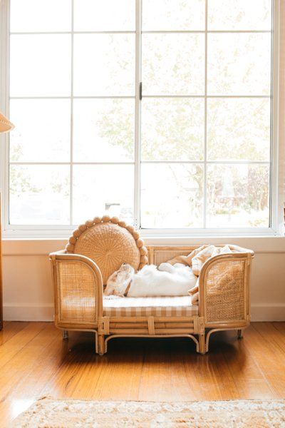 A small white dog sleeping on its back in a rattan dog bed with a checkered cushion in front of a window.