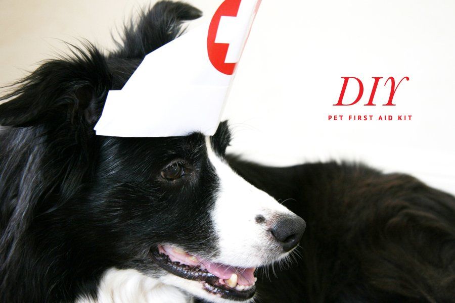 DIY Pet First Aid Kit - A full tutorial and checklist on how to make your own DIY Pet First Aid Kit for pet related emergencies and accidents. Includes pet medical tips. | Pretty Fluffy
