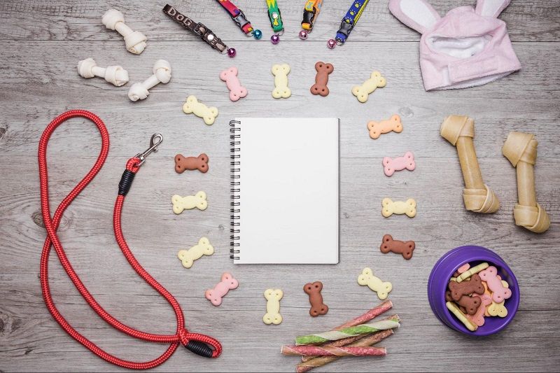 DIY Learning Projects for Dog Lovers