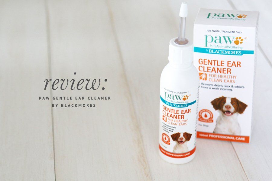 Review: Blackmores PAW Gentle Ear Cleaner www.prettyfluffy.com
