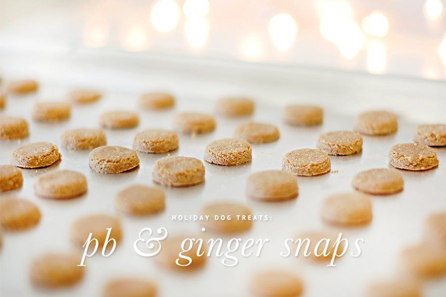 Holiday Dog Treats - PB & Ginger Snaps Recipe - These holiday dog treats are healthy, yummy and easy to make. Grab the recipe here and make your own treats for your dog and their friends these holidays.