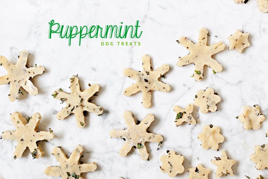 Snowflake-shaped Puppermint dog cookies with fresh mint flecks for homemade mint dog treats.
