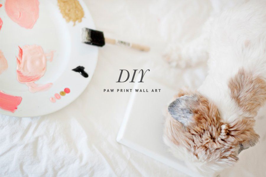 A fluffy dog next to a paint palette and blank canvas for a DIY paw print wall art project.