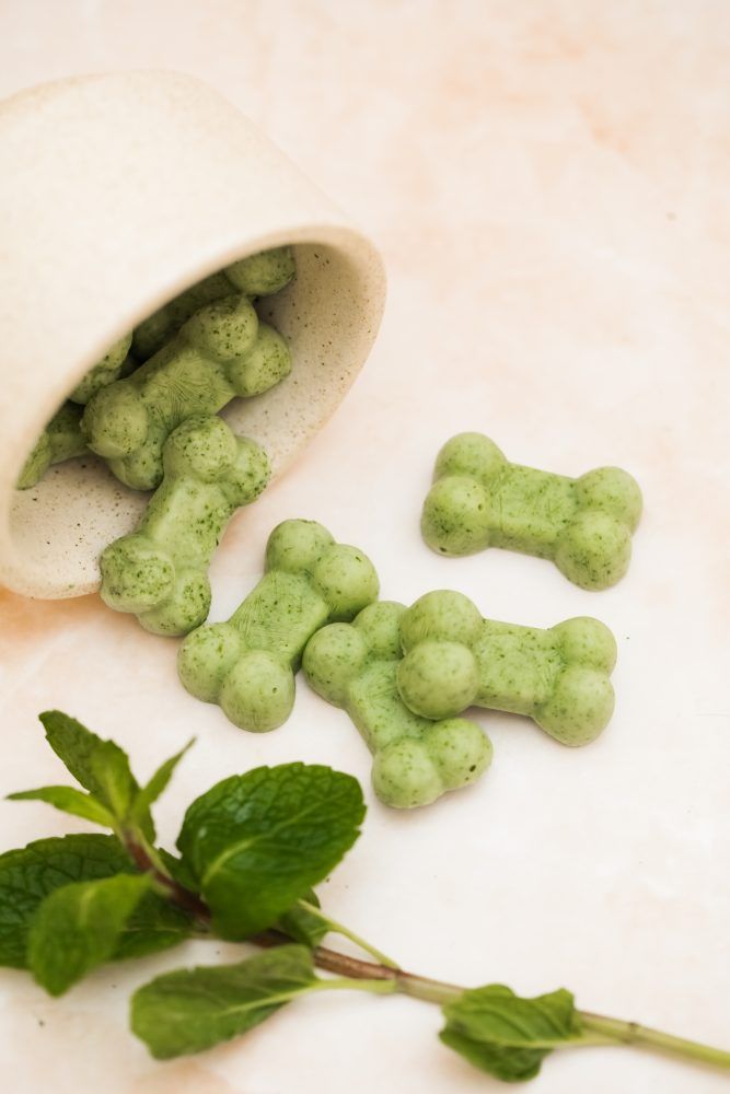 Green bone-shaped dog treats spilling out of a ceramic cup beside fresh mint leaves.