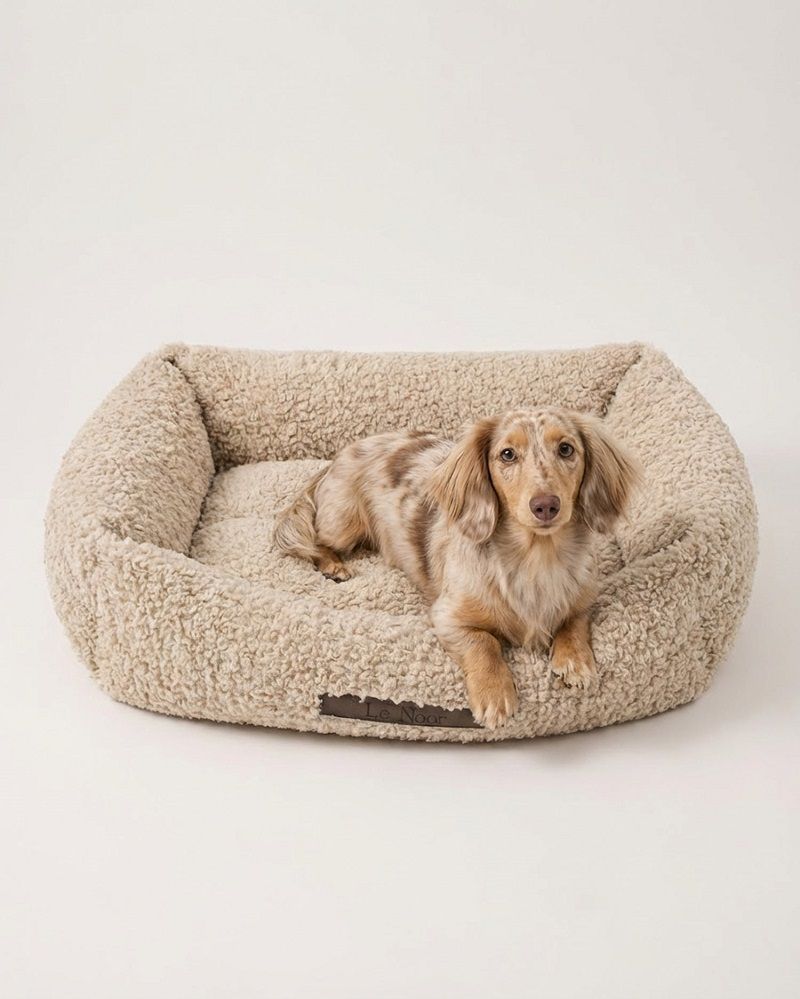Le Noof Beige Teddy Sofa Dog Bed