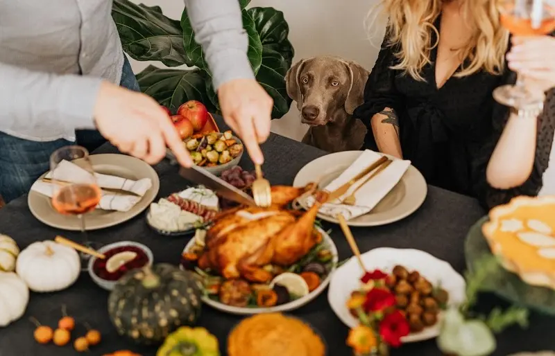 Dog watches two people serve a Thanksgiving dinner with roast turkey and assorted side dishes.