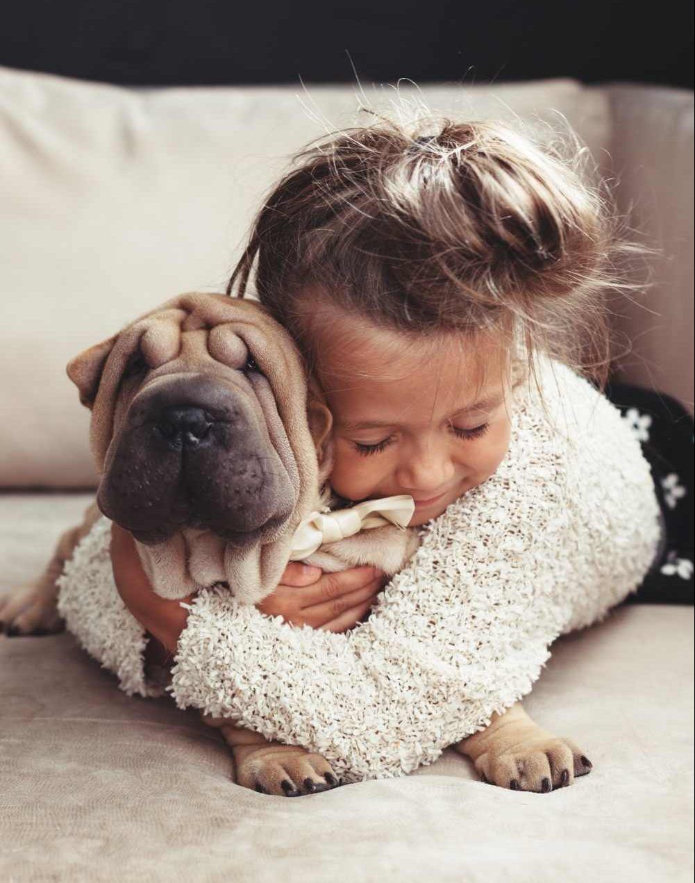 3 Handy Hints For Living with a Dog and a Baby