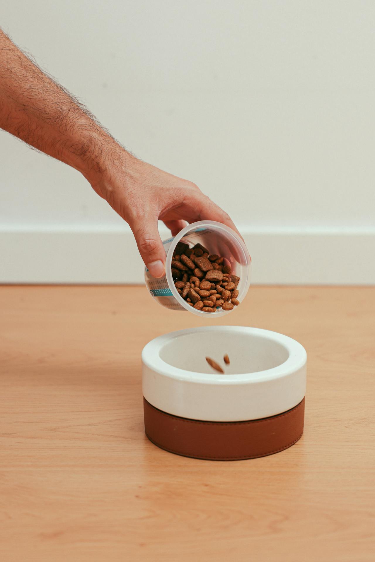 Best Dog Foods for Dogs With Allergies