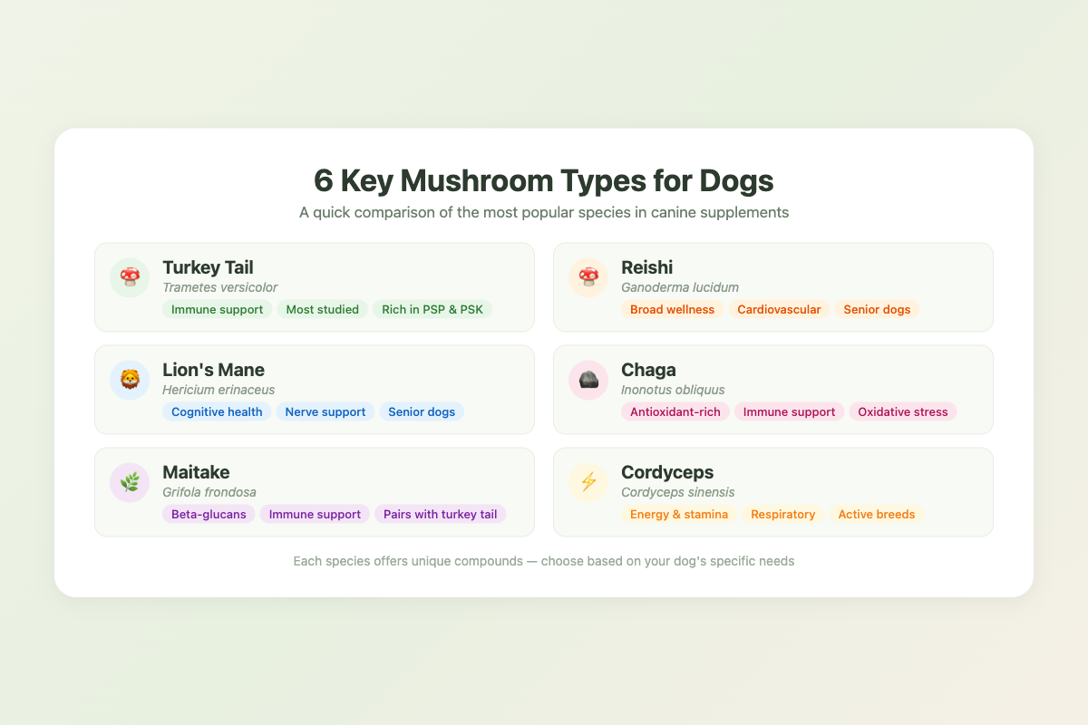 Infographic comparing 6 key medicinal mushroom types for dogs, including Turkey Tail, Reishi, and Lion's Mane.