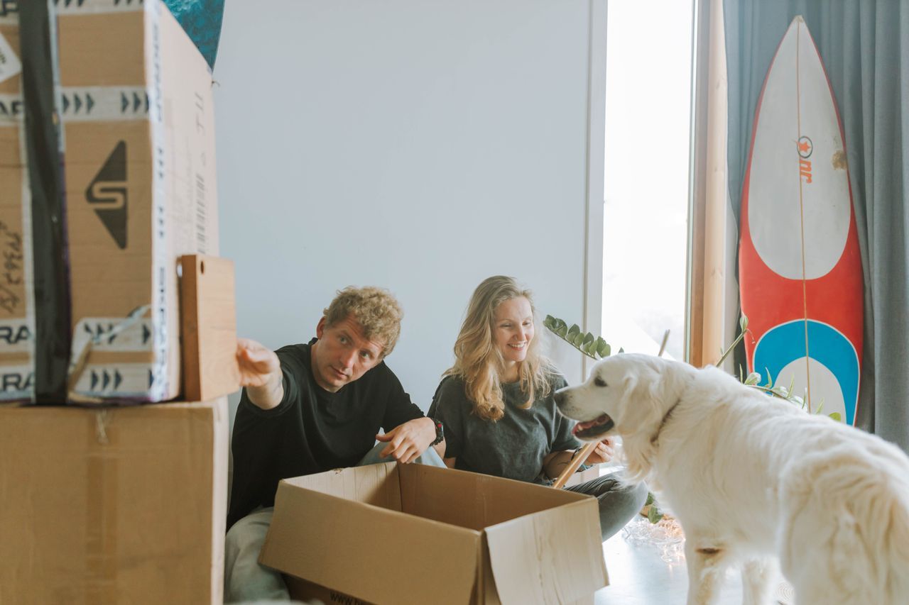 Two people pack cardboard boxes while a white dog stands nearby in a bright room.