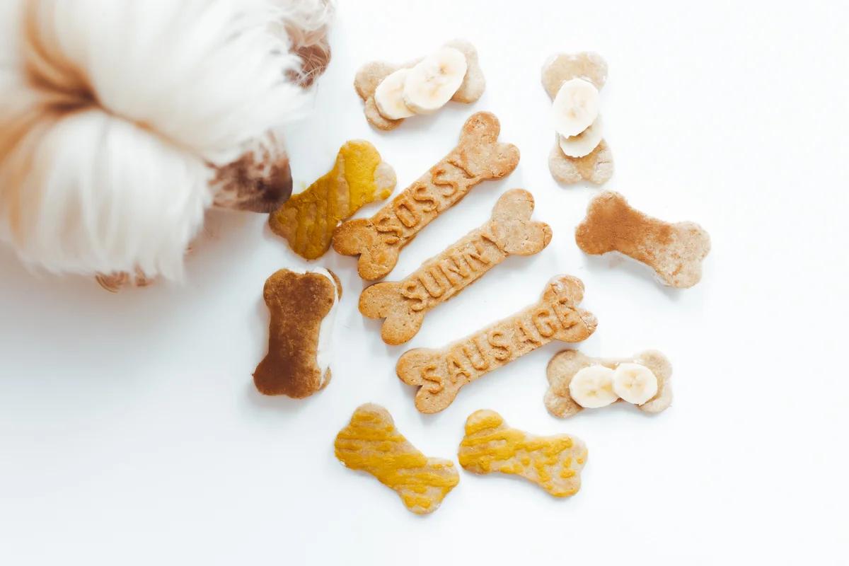 dog sniffing peanut butter dog cookies decorated in four different ways