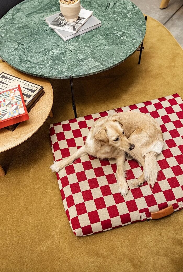 the best dog beds