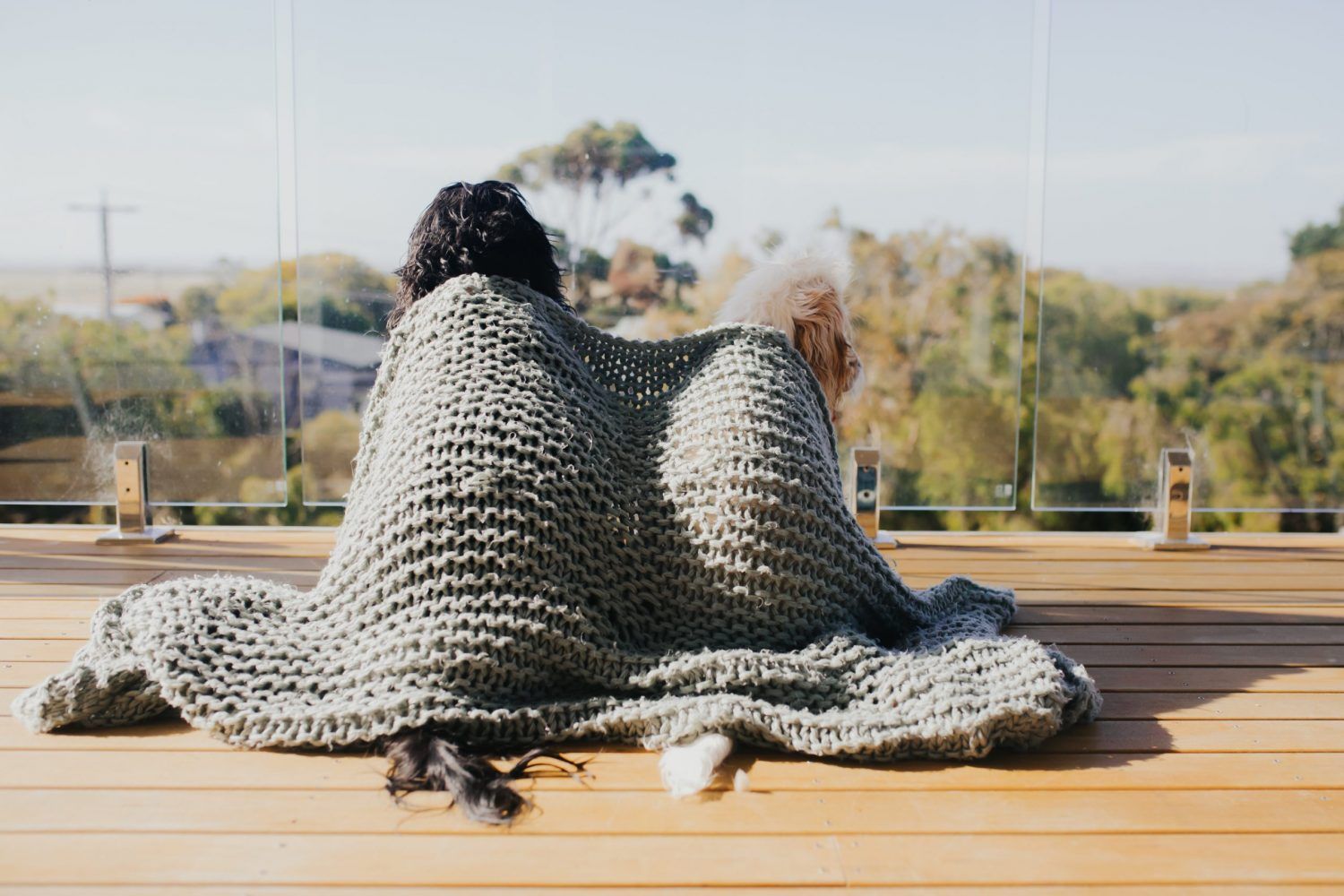 A Home Away From Home: Pet-Friendly Accommodation in Venus Bay
