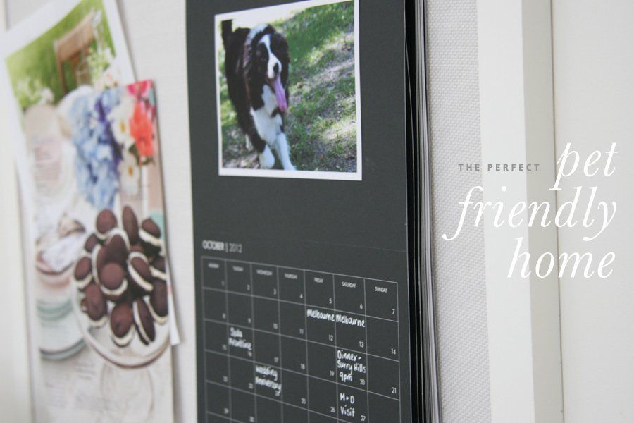 Perfect Pet Friendly Home | Pretty Fluffy