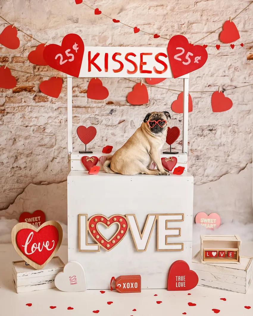 Dog DIY Valentines Day Kissing Booth